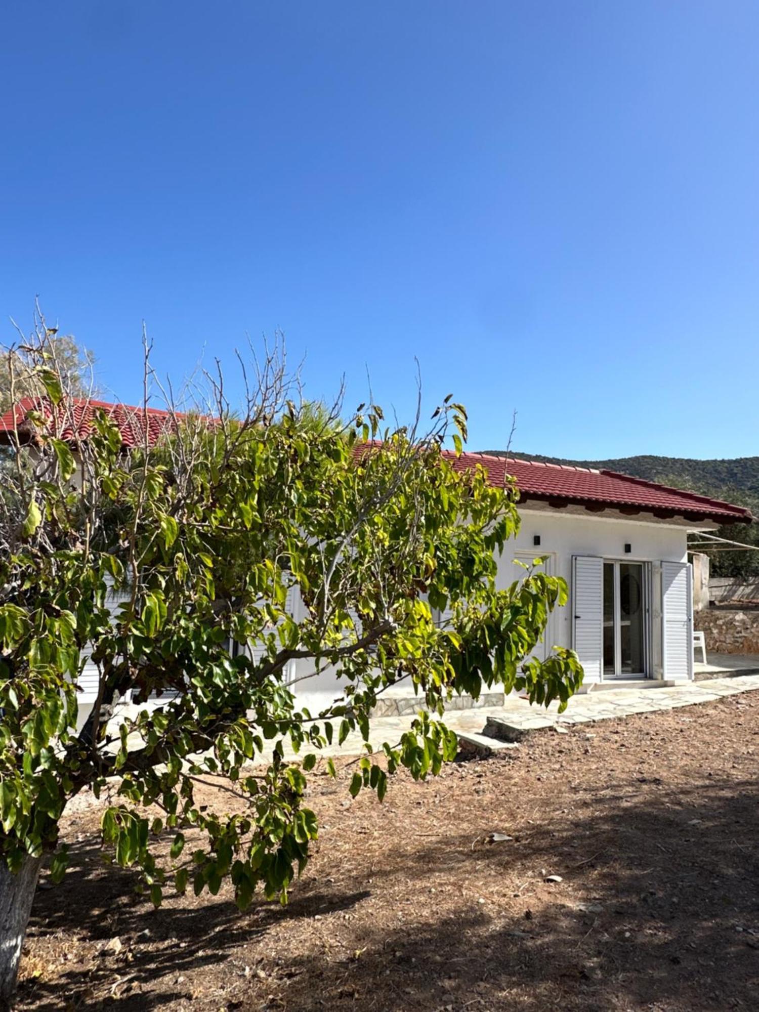 Coast Cottage Porto Rafti-Avlaki Bagian luar foto